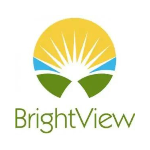 All Pro Dad's Day Sponsor BrightView Health